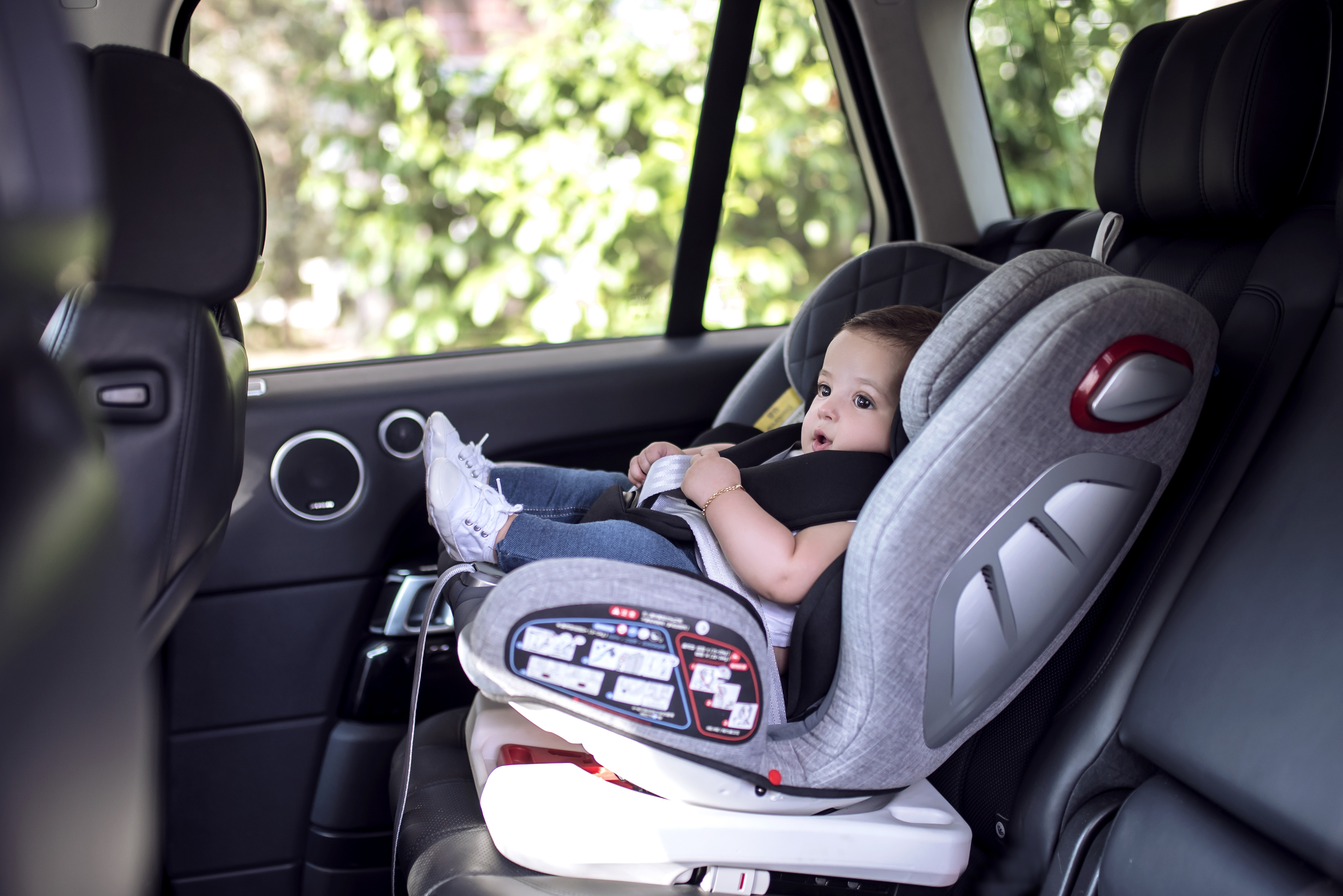 Premium автокресло. Babyton автокресло 0-36. Babyton Multi-Stage Isofix. Автокресло Babyton Multi-Stage Isofix Ocean. Детское автокресло Lorelli Premium.