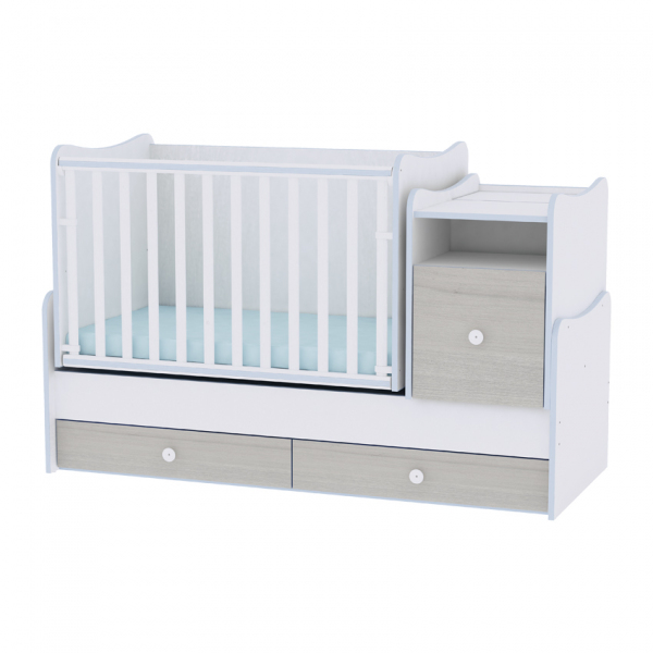 White & Blue Elm