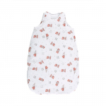 Bears & Piollws Beige