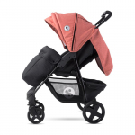 Black & Ginger Orange 