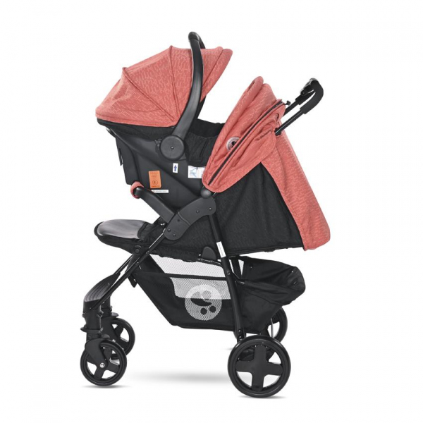 Black & Ginger Orange 