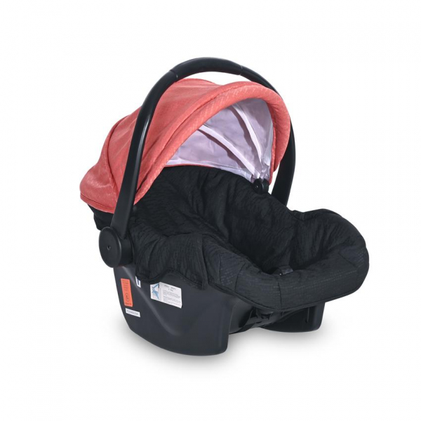 Black & Ginger Orange 